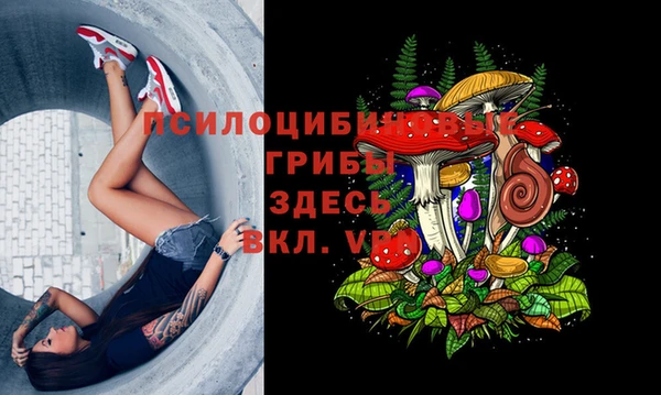 Альфа ПВП Осташков