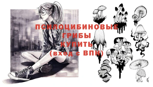 Альфа ПВП Осташков