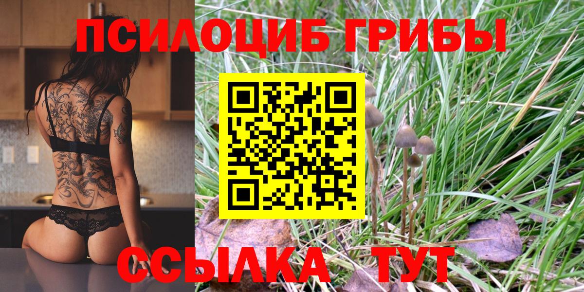 Галлюциногенные грибы Psilocybine cubensis Азов